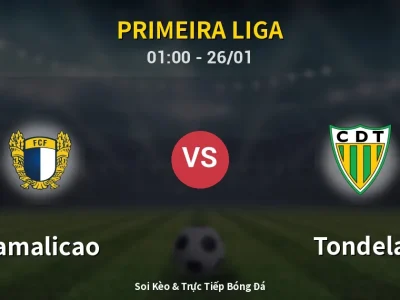Kết Quả: Famalicao 3-0 Tondela – Highlight & Bàn Thắng | Primeira Liga