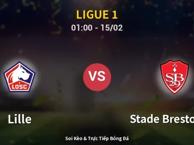 Kết Quả: Lille 1-1 Stade Brestois 29 – Highlight & Bàn Thắng | Ligue 1