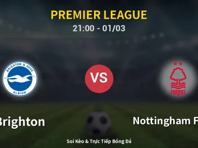 🔴 Trực Tiếp: Brighton 2-1 Nottingham Forest – Link Xem Premier League (Full HD)