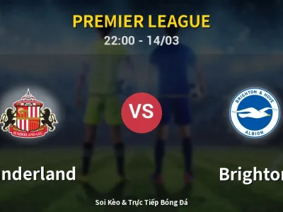 🔴 Trực Tiếp: Sunderland 0-0 Brighton – Link Xem Premier League (Full HD)