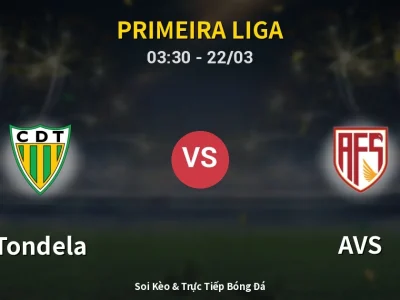 Kết Quả: Tondela 0-0 AVS – Highlight & Bàn Thắng | Primeira Liga