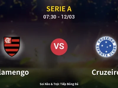 Kết Quả: Flamengo 2-0 Cruzeiro – Highlight & Bàn Thắng | Serie A