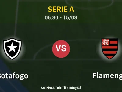 Kết Quả: Botafogo 0-3 Flamengo – Highlight & Bàn Thắng | Serie A