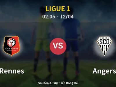 Kết Quả: Rennes 2-1 Angers – Highlight & Bàn Thắng | Ligue 1