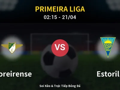 Kết Quả: Moreirense 1-0 Estoril – Highlight & Bàn Thắng | Primeira Liga
