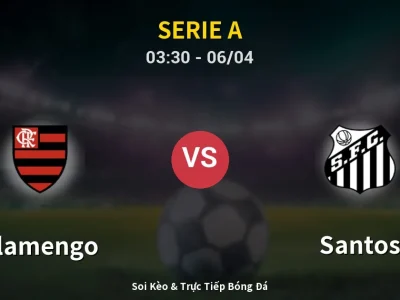 Kết Quả: Flamengo 3-1 Santos – Highlight & Bàn Thắng | Serie A