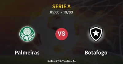 Palmeiras vs Botafogo 19/03